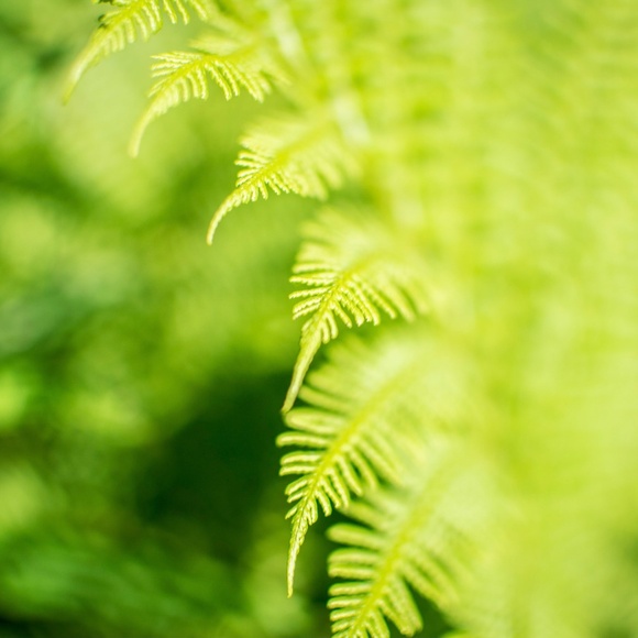 2nd Hand Wins...! - Picture 2 of 16